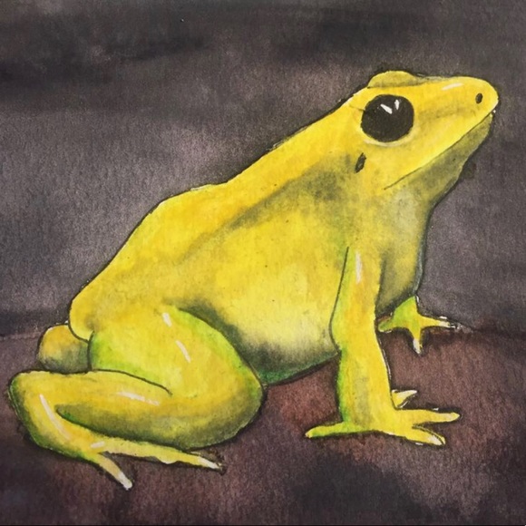 yellow_frog